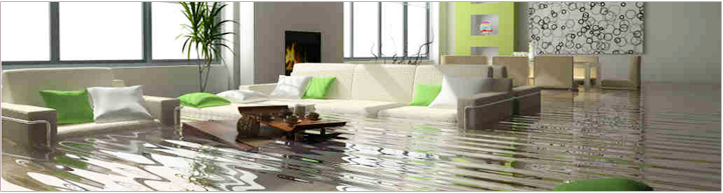 Water Damage Remediation